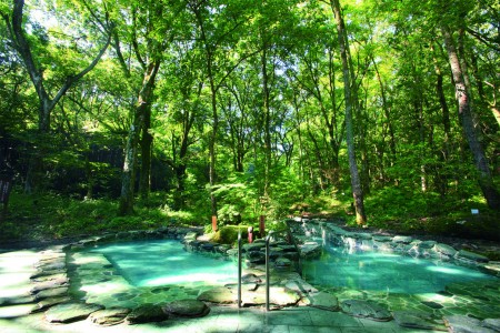 箱根2日温泉放松之旅