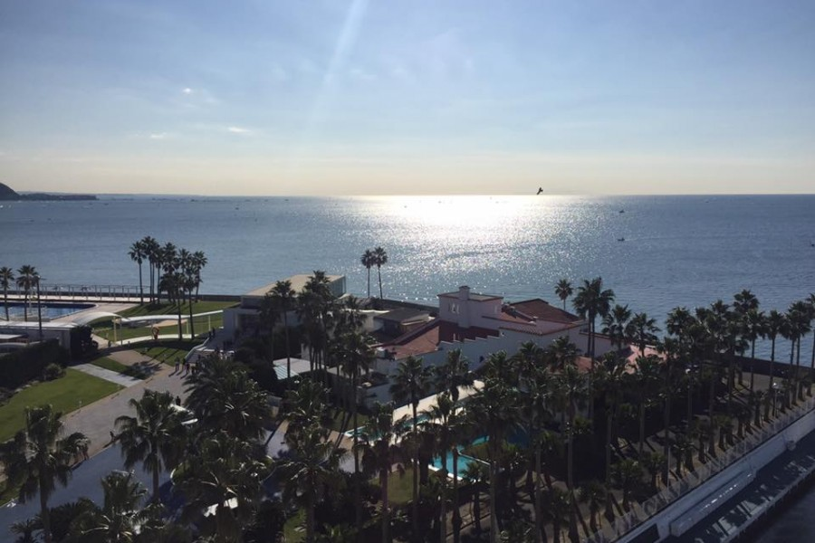 从逗子的精神遗迹见证大海的壮观景象