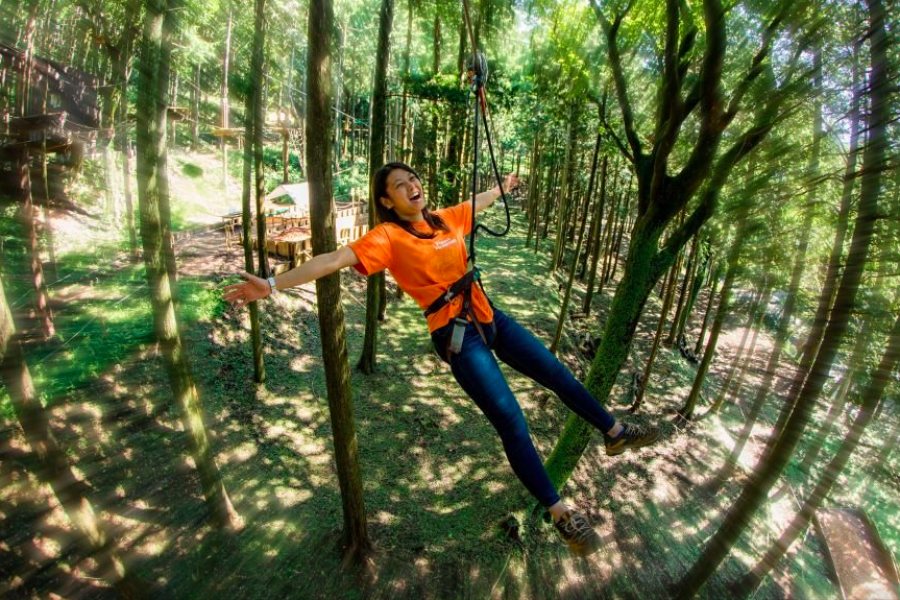 在陆地和水里探索箱根的大自然