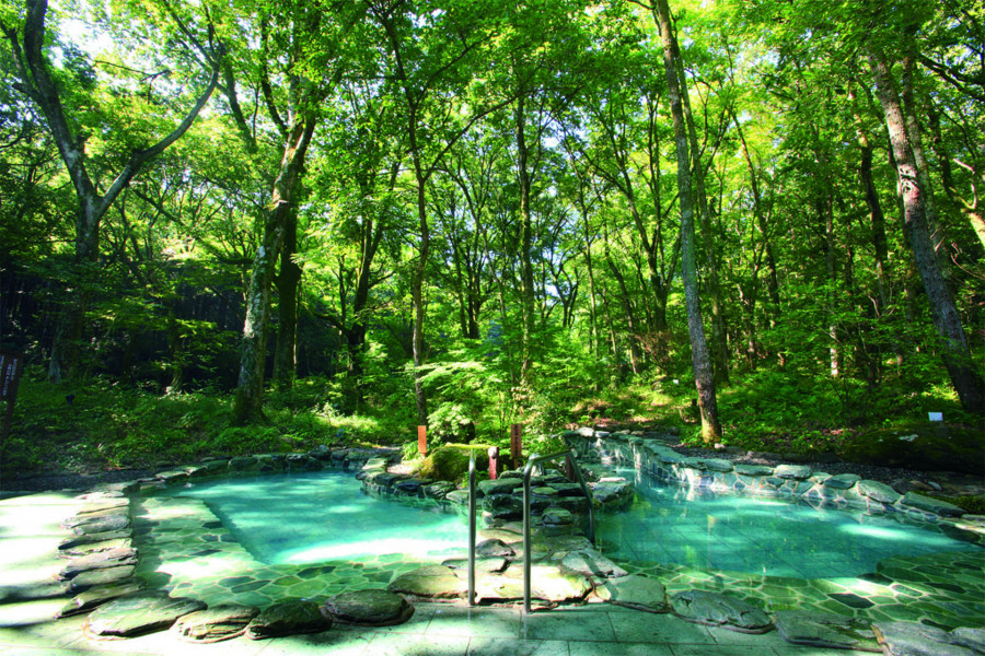 箱根2日温泉放松之旅