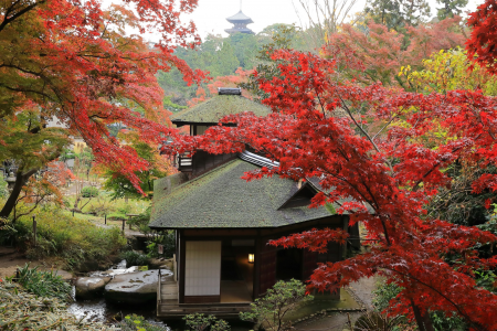 Yokohama: Revitalised Through Art Part 1