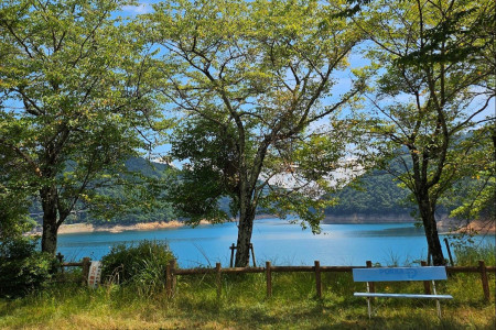 拥抱宫濑湖的自然之旅