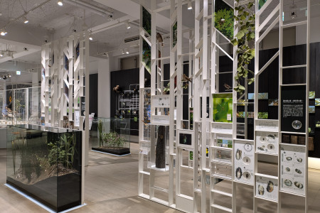 永续川崎的教育活动