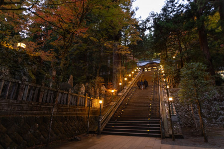 探索神奈川足柄的隐藏冒险