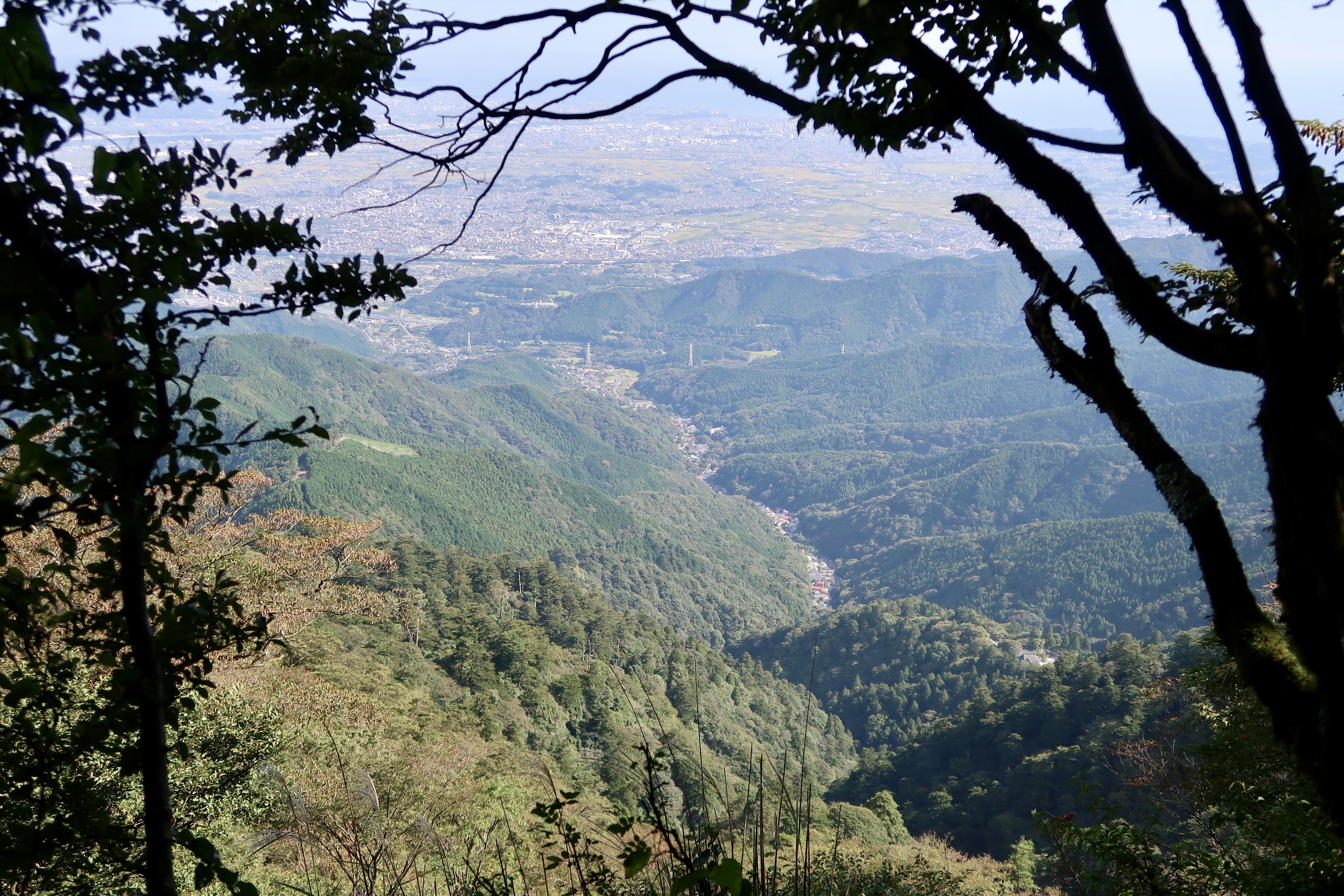 从上方看驹参道