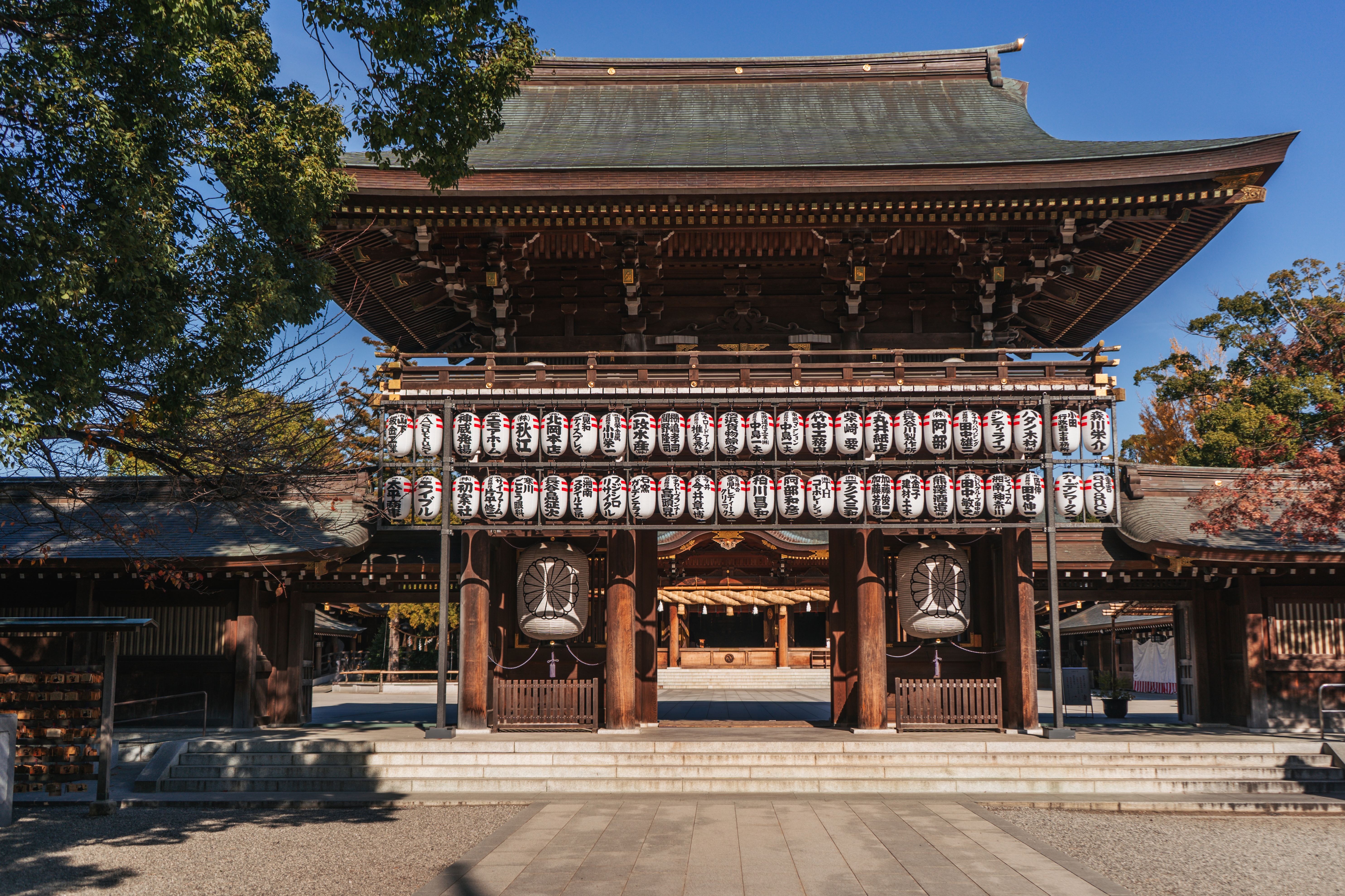 神门（Cathy Guex）