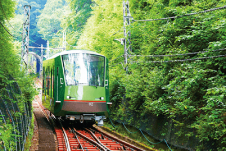 丹泽大山周游券