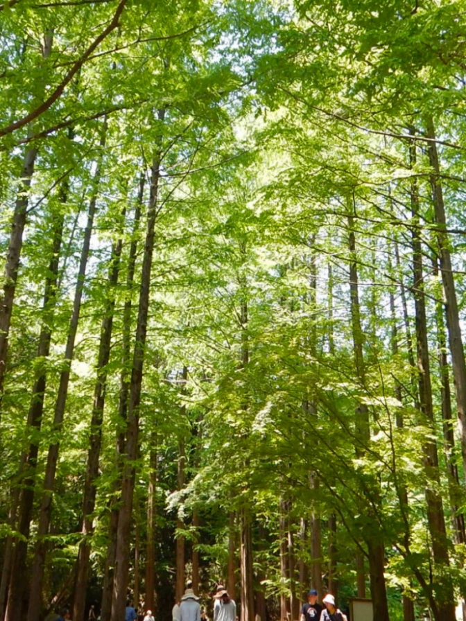神奈川县的收藏