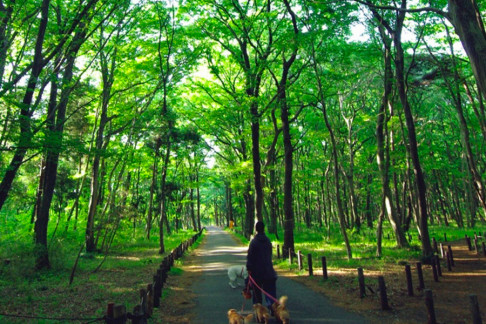 近距离享受自然