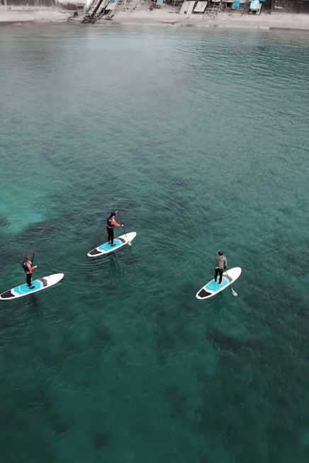 叶山立桨冲浪体验
