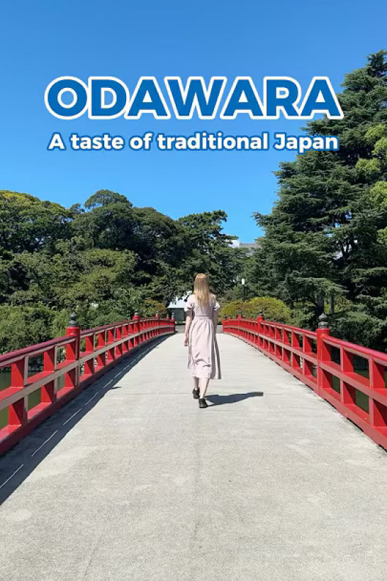 如何尽情体验小田原