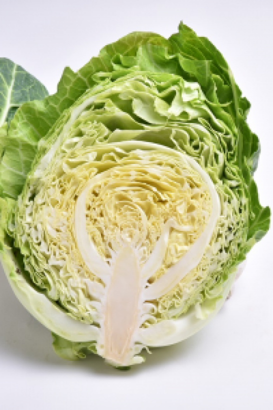 三浦・横须贺高丽菜