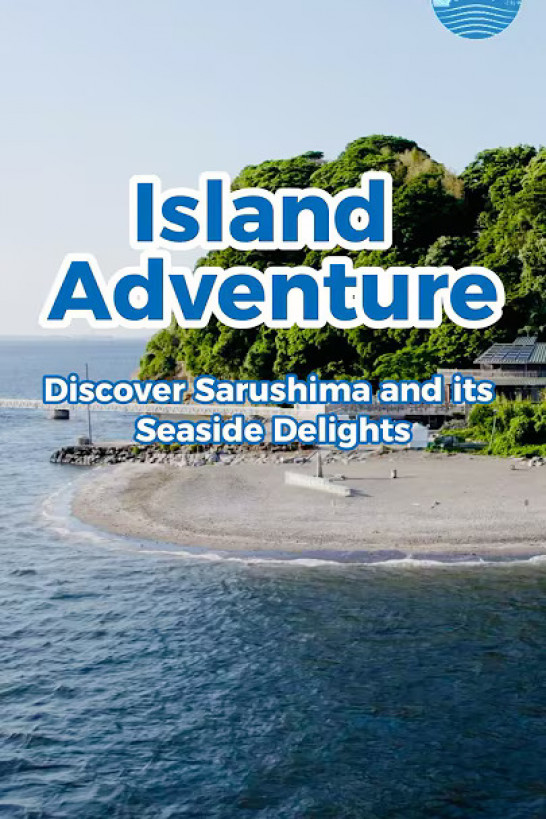 海岛探险：发现猿岛及其海边乐趣