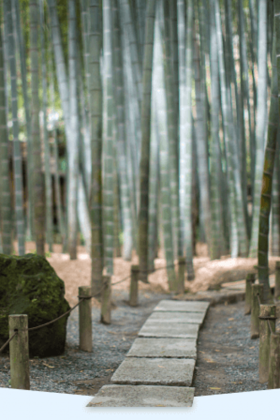 神奈川，从家出发