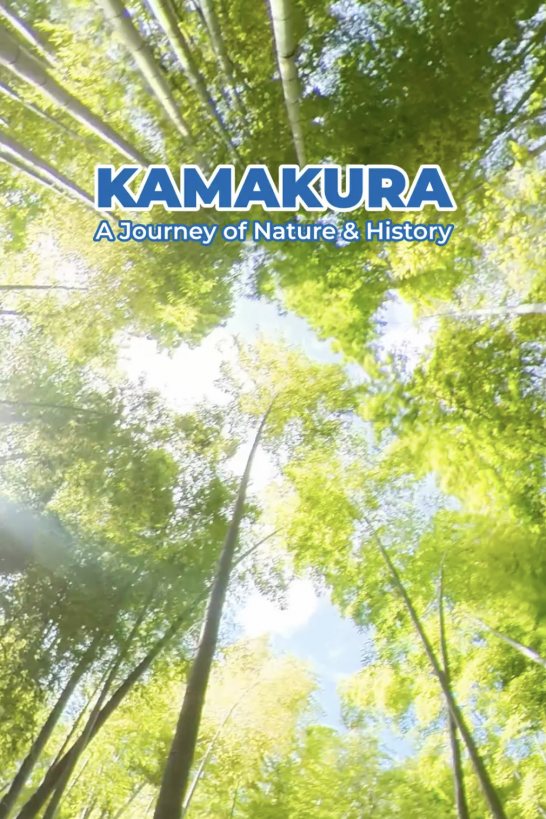 自然与历史之旅