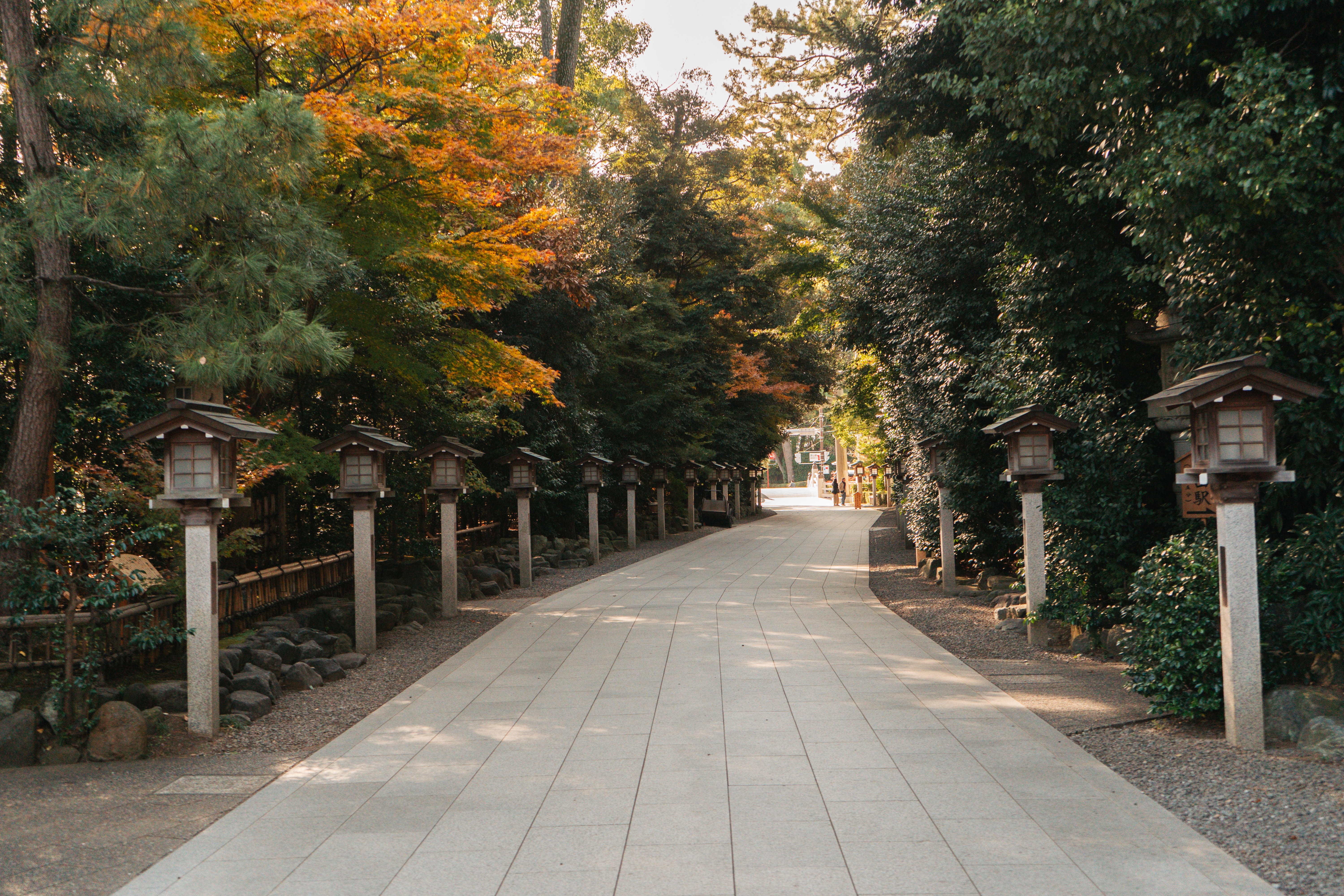 灯笼行道（Cathy Guex）