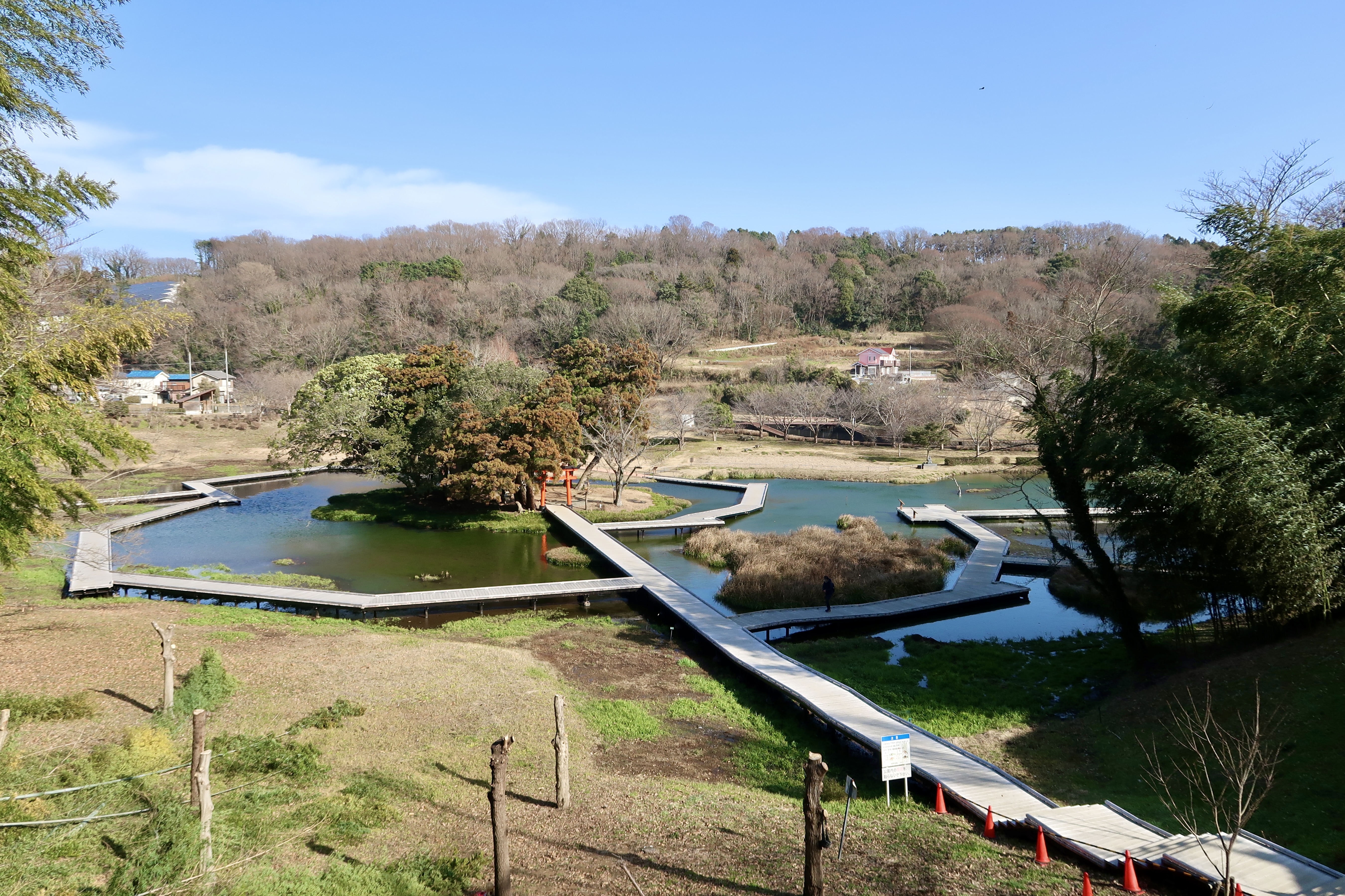 湿地公园裡的木製走道