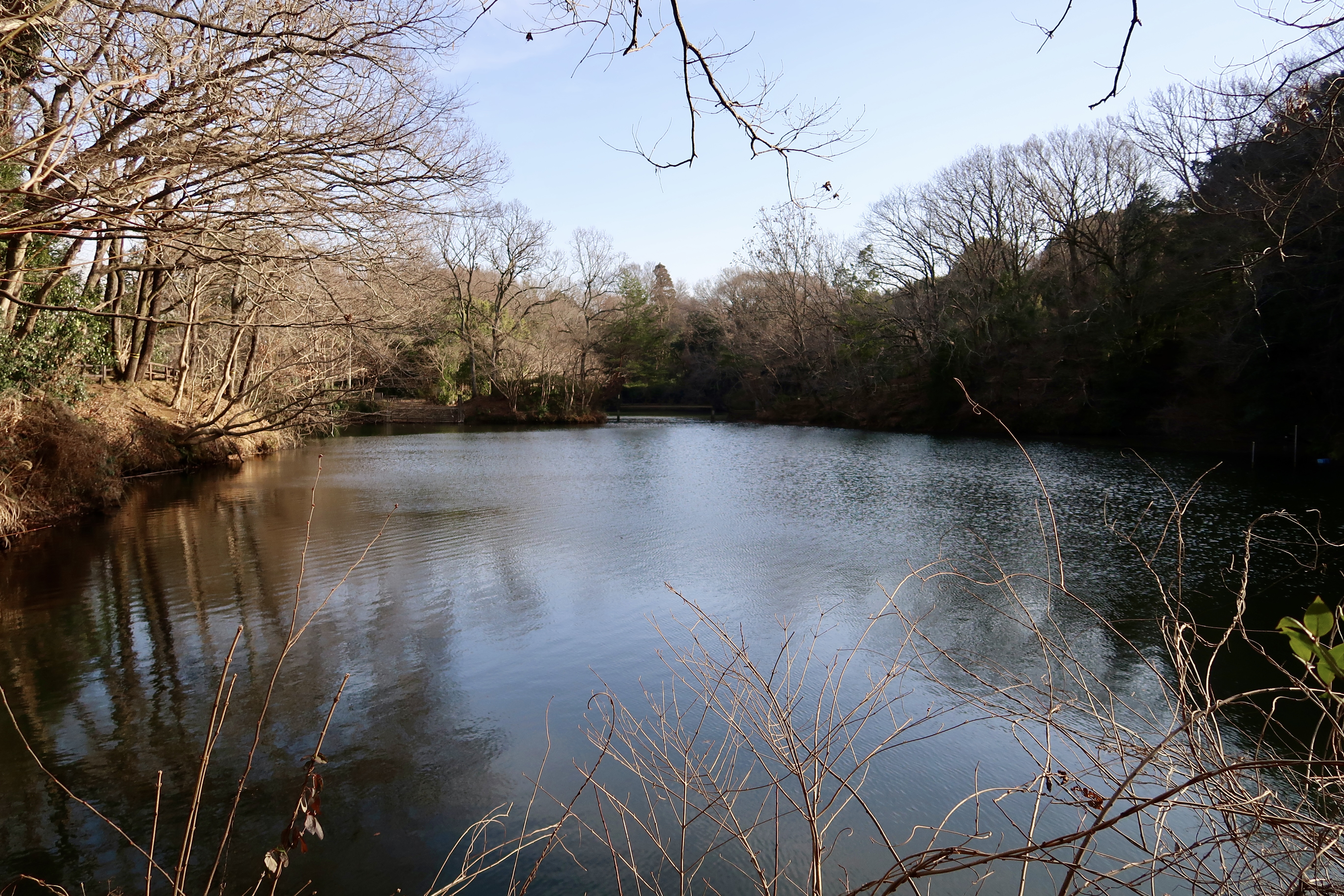 沿着其中一条自然小径欣赏震生湖