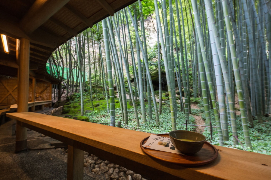 Kanagawa's diverse natural beauty awaits you!