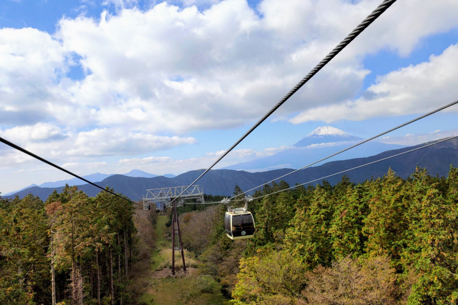 Accommodation spots, illuminations, and more this November!