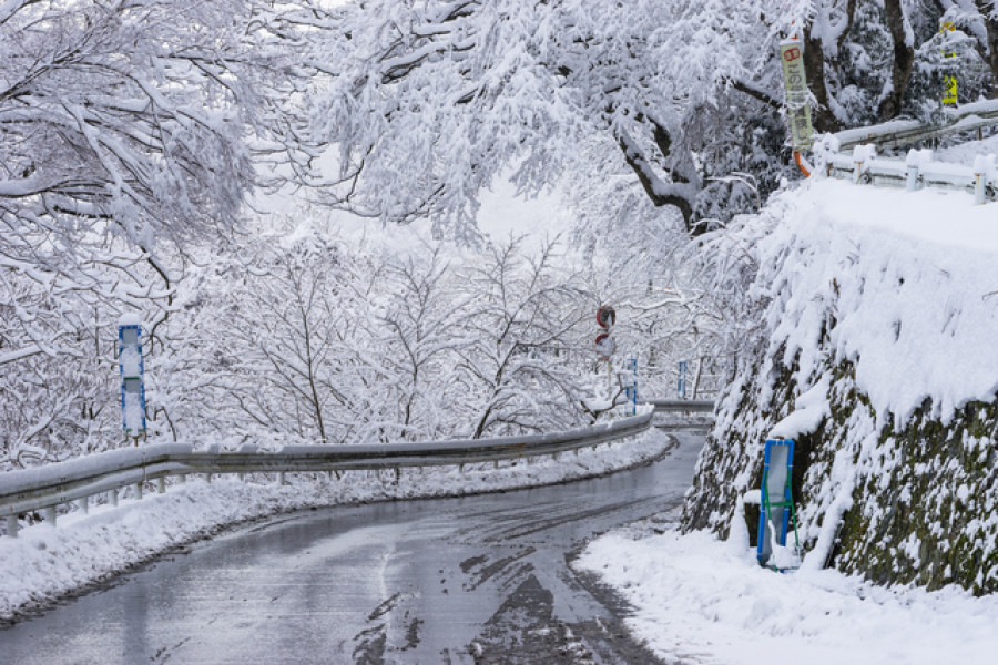 做好冬季准备：在寒冷季节尽情享受神奈川！