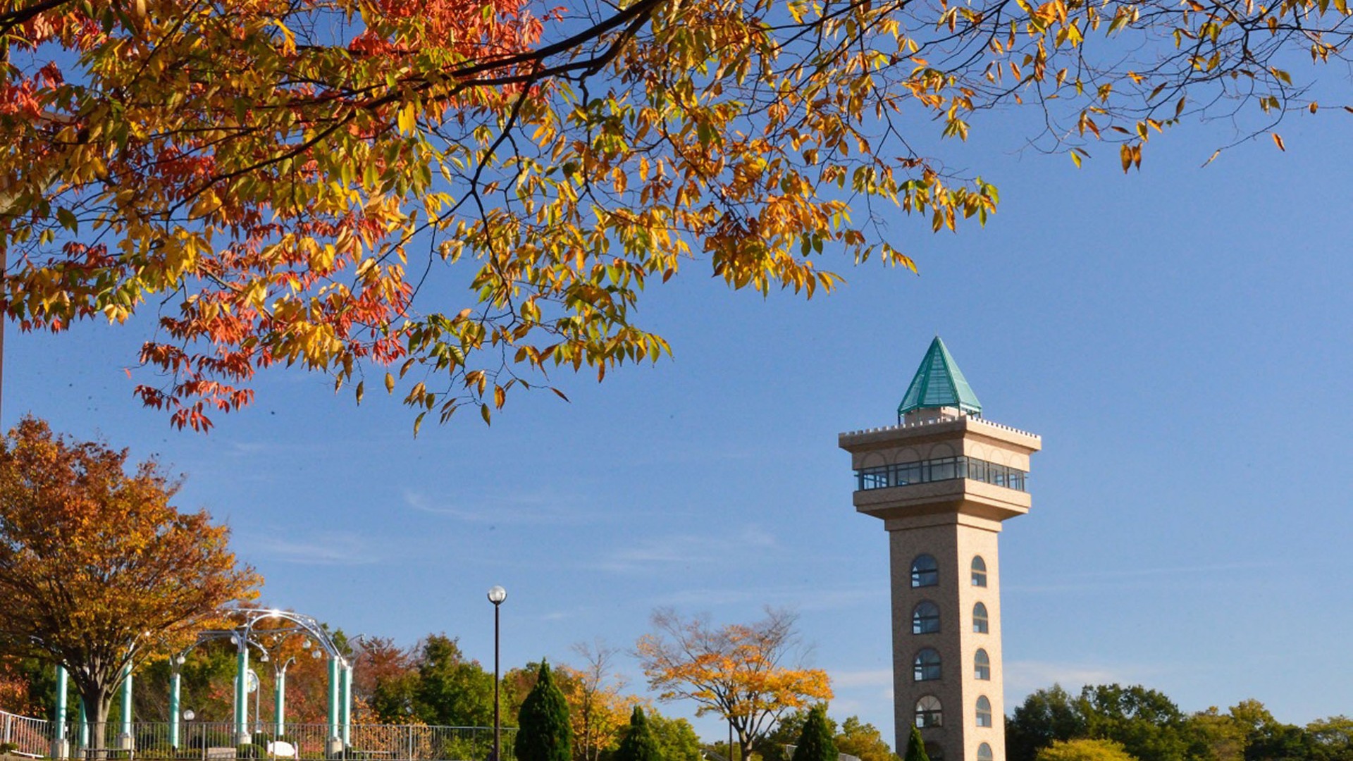 相模原朝沟公园