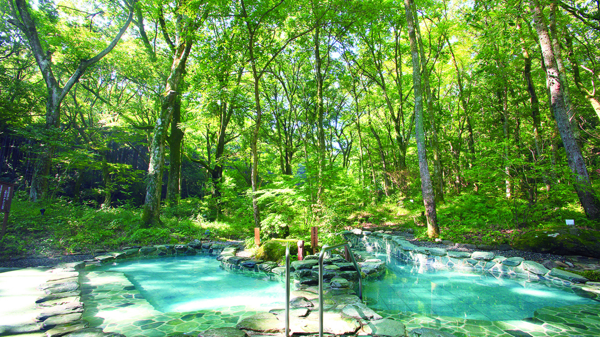 摩登汤治Only You