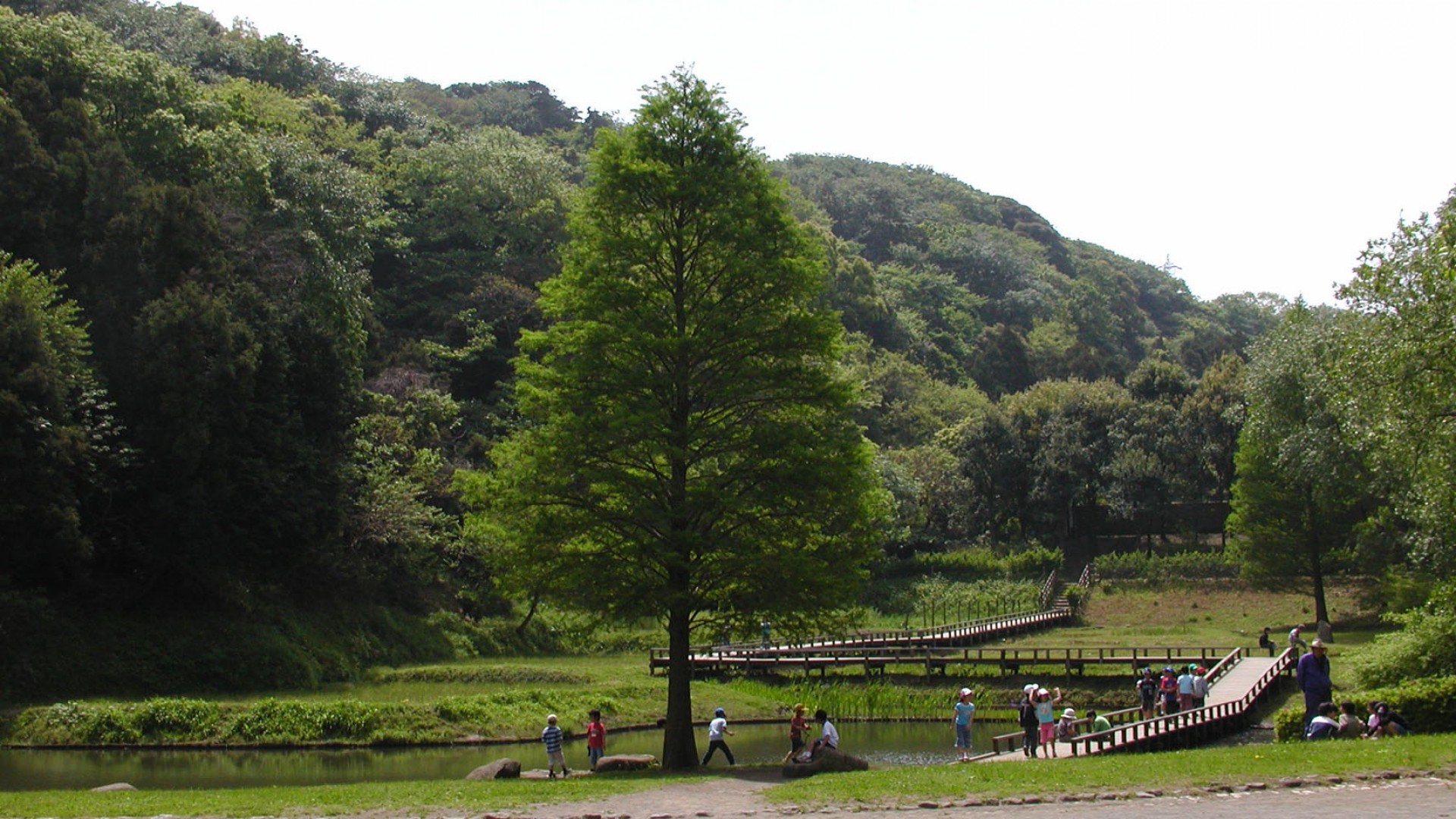 新林公园（散步、赏鸟）