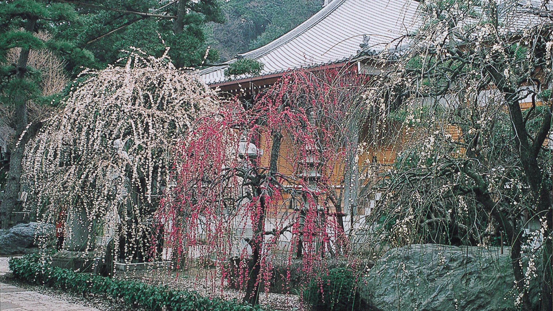 常立寺