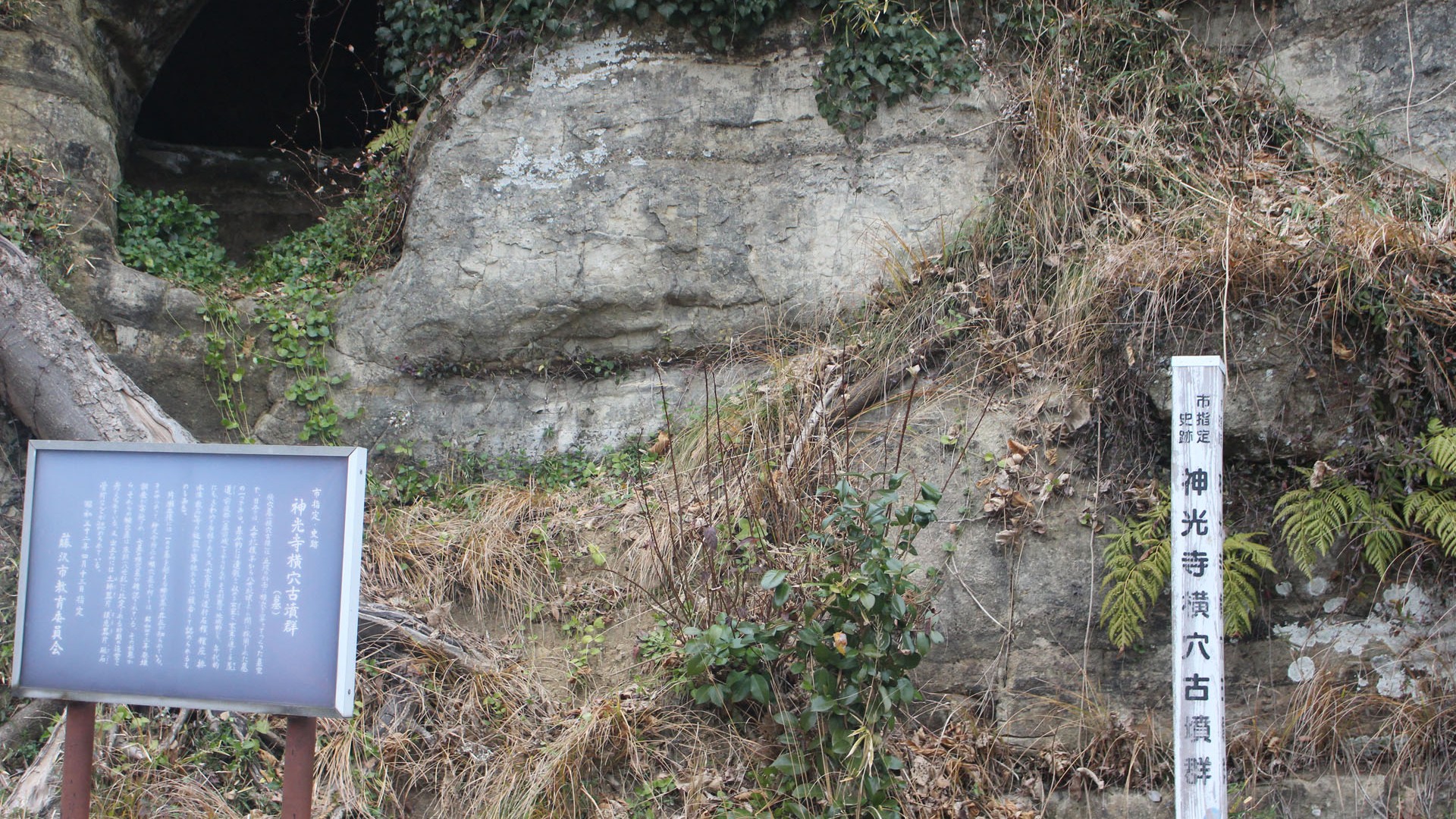 神光寺横穴古坟群