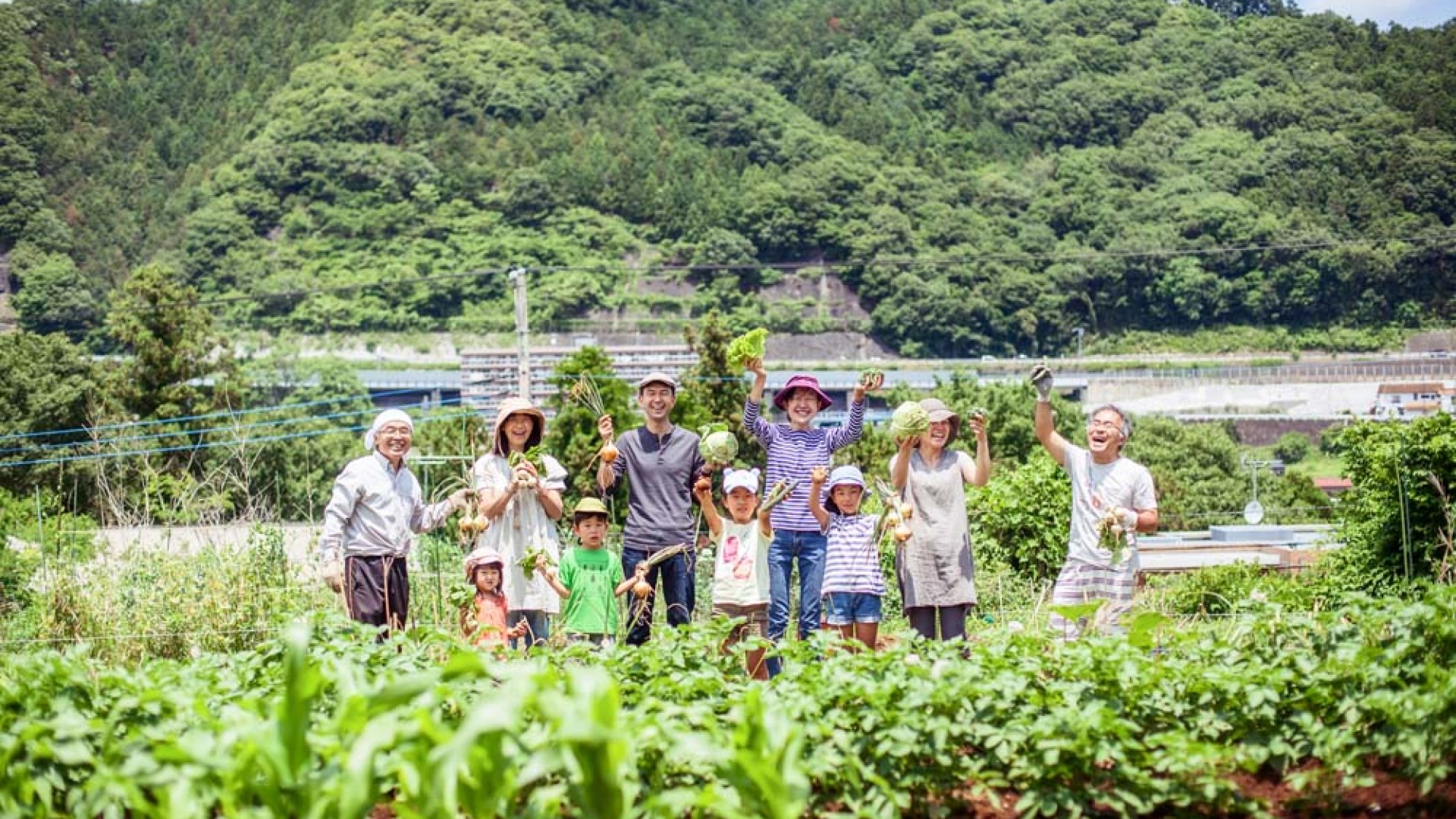 藤野里山体验团