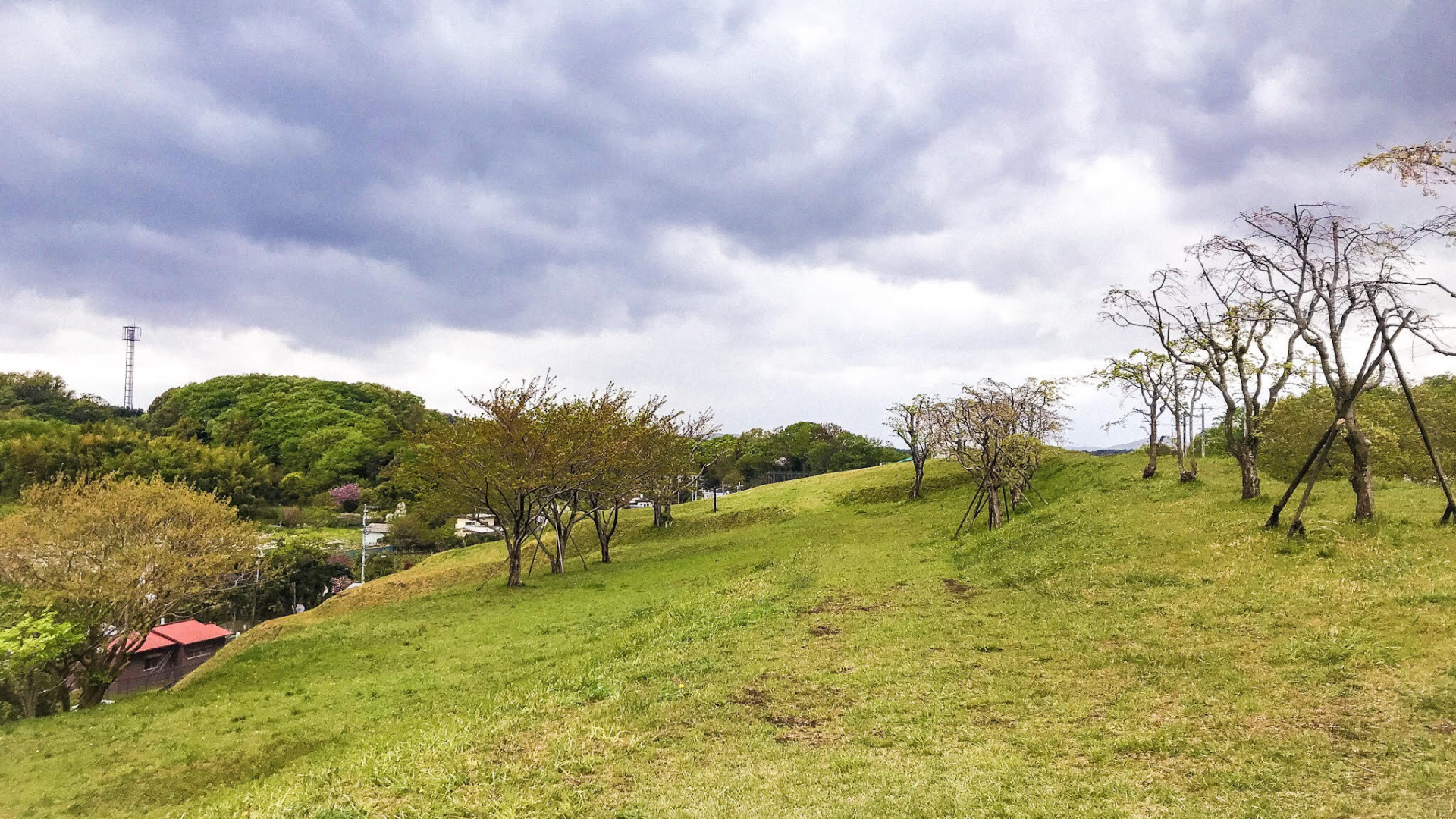 飞谷津之丘（富士山雄姿）