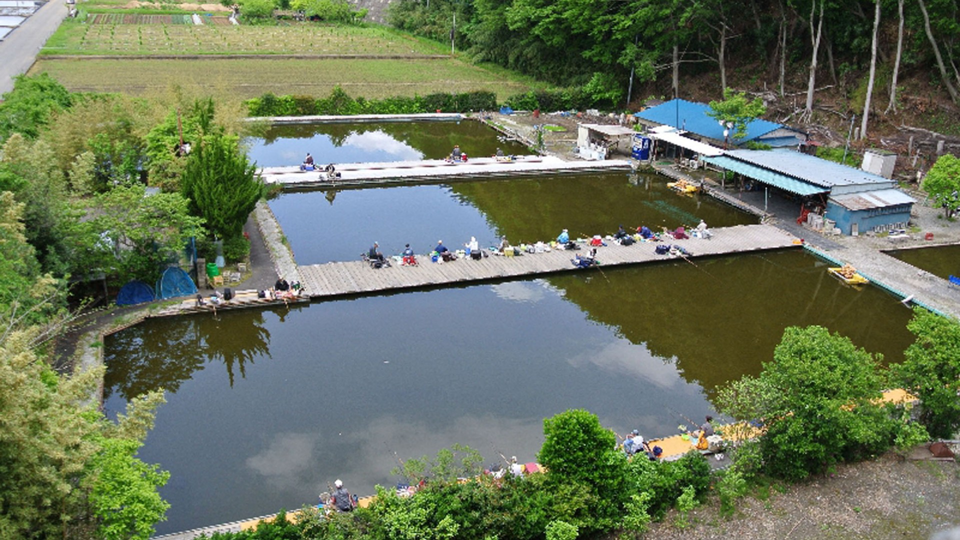 ศูนย์ตกปลาคาร์ฟ Spatula Crucian อะซึตงิ