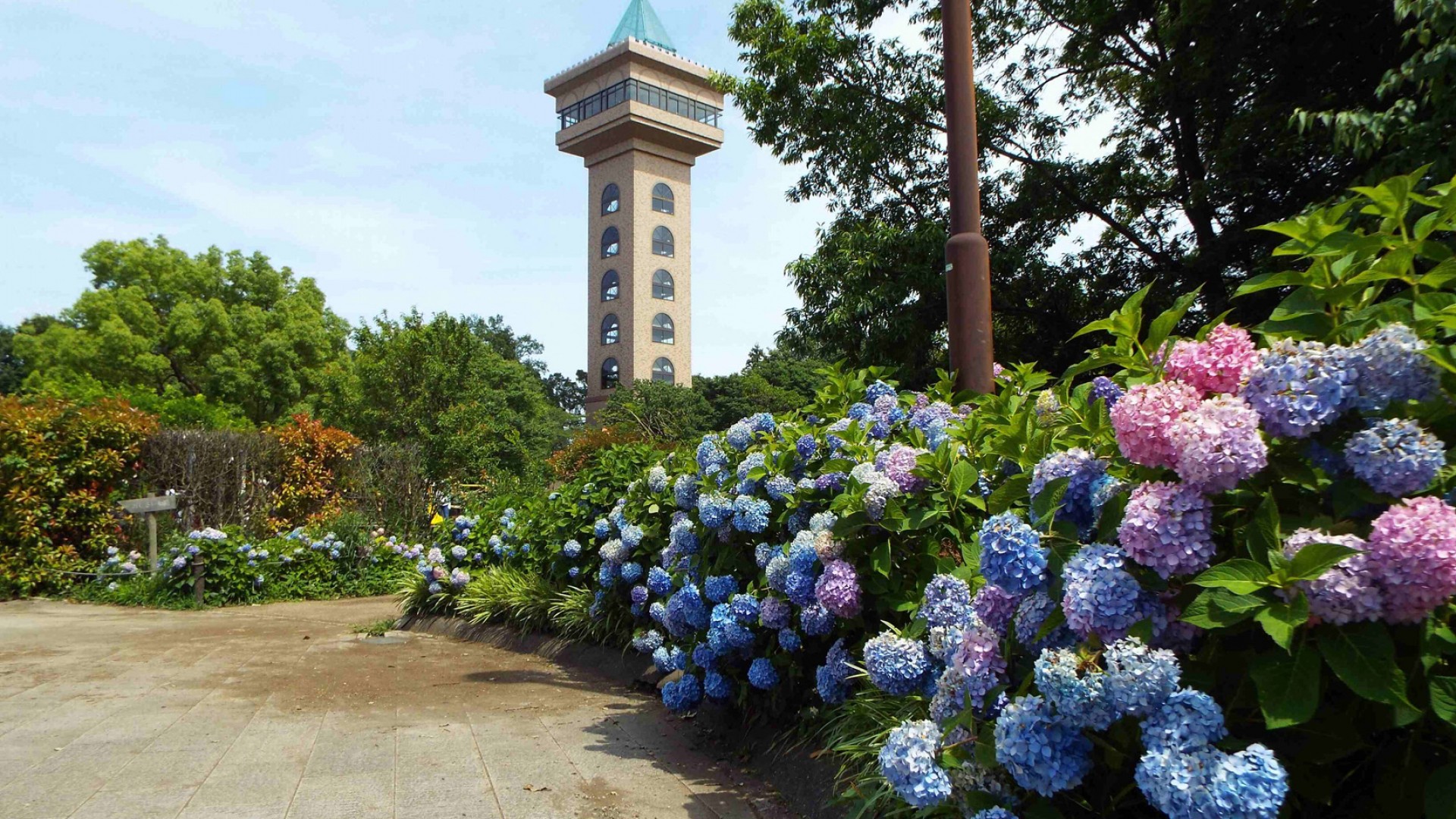 绿色塔Green Tower相模原