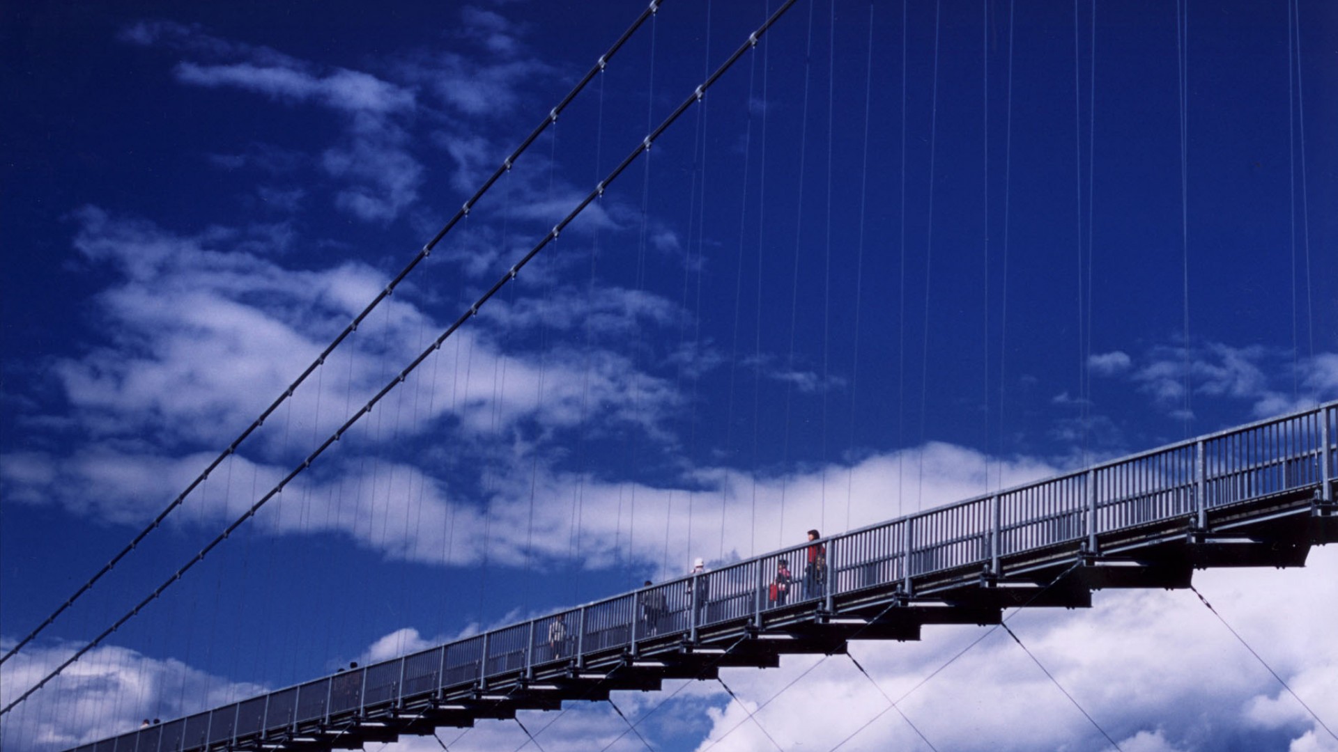 宫濑湖之大吊桥