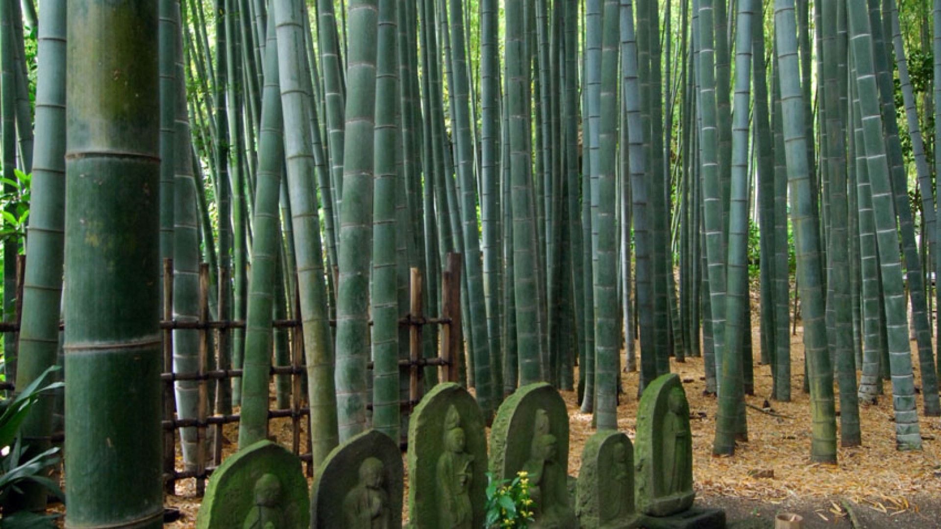 Kanazawa Kaido (tuyến đường đi bộ)