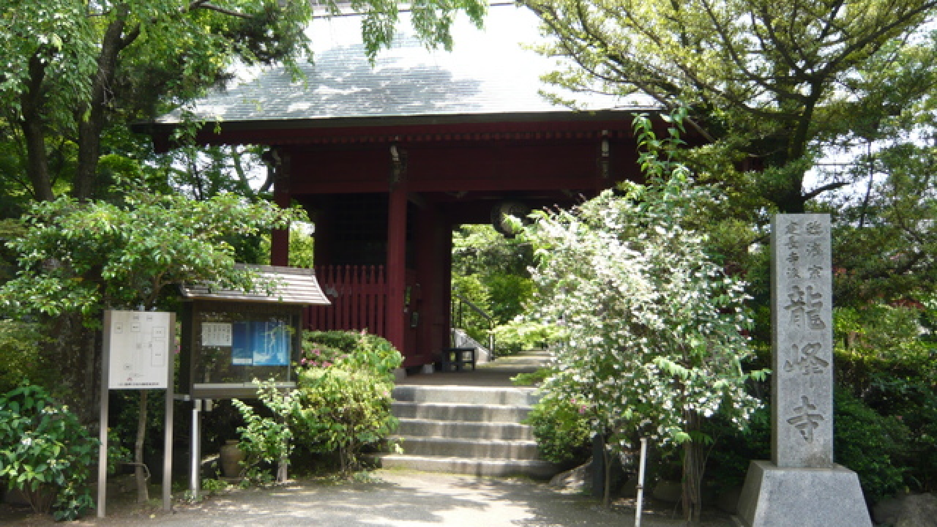 龙峰寺（木造千手观音像）
