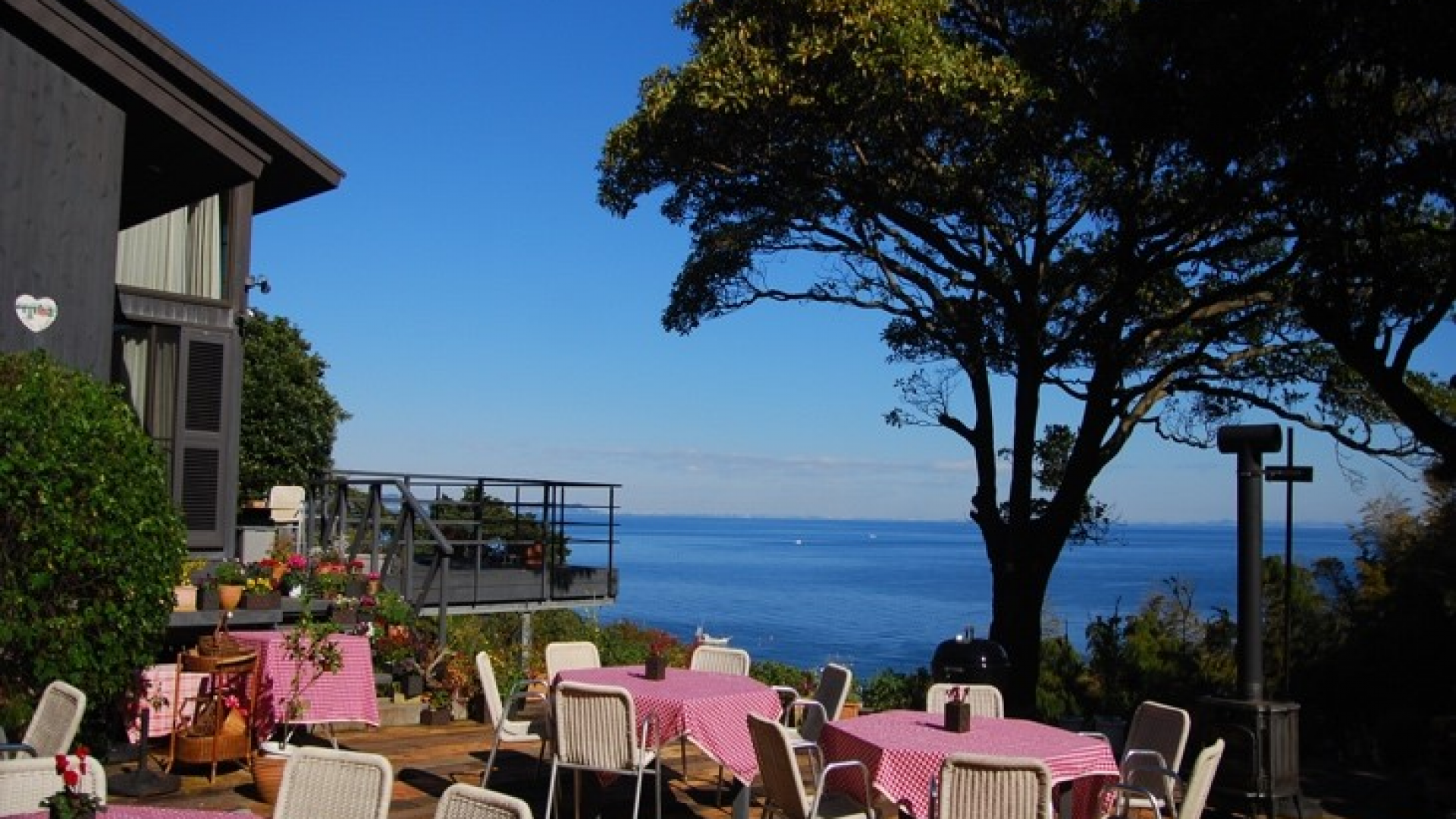 Orange Floral 农园