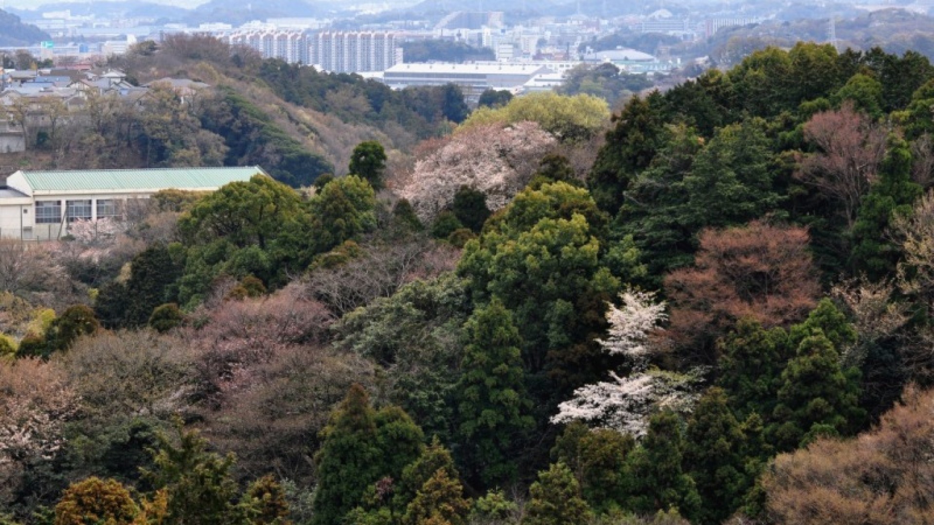釜利谷市民之森