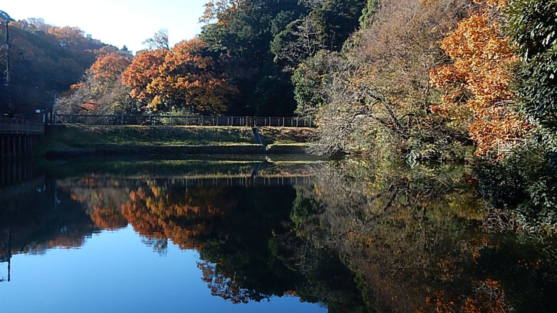 夫妇池公园野鸟观察活动
