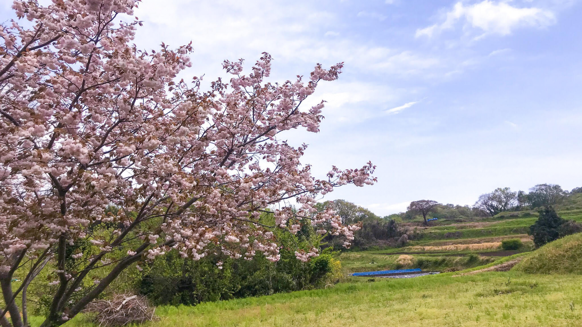 Kisawa Hakkei(Yurugino oka hill)