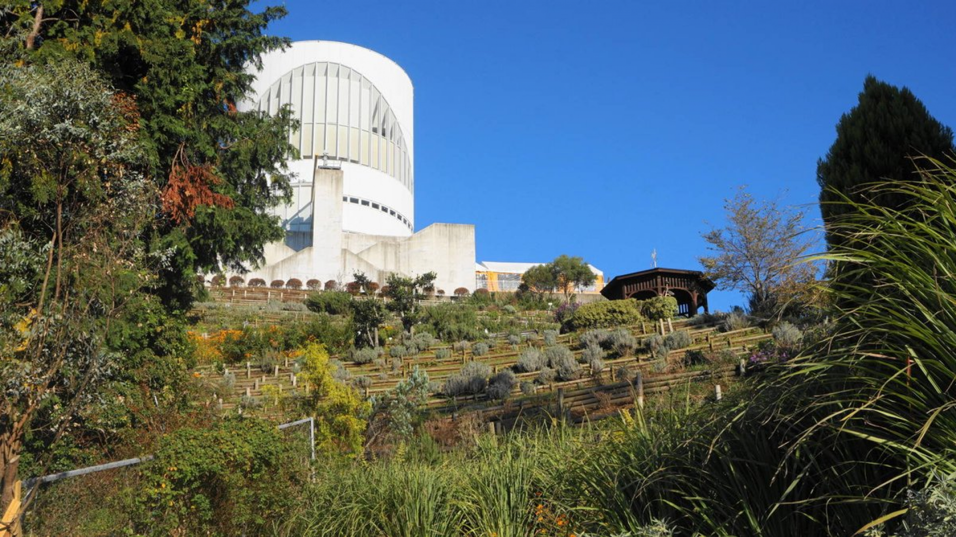 松田山草本花园