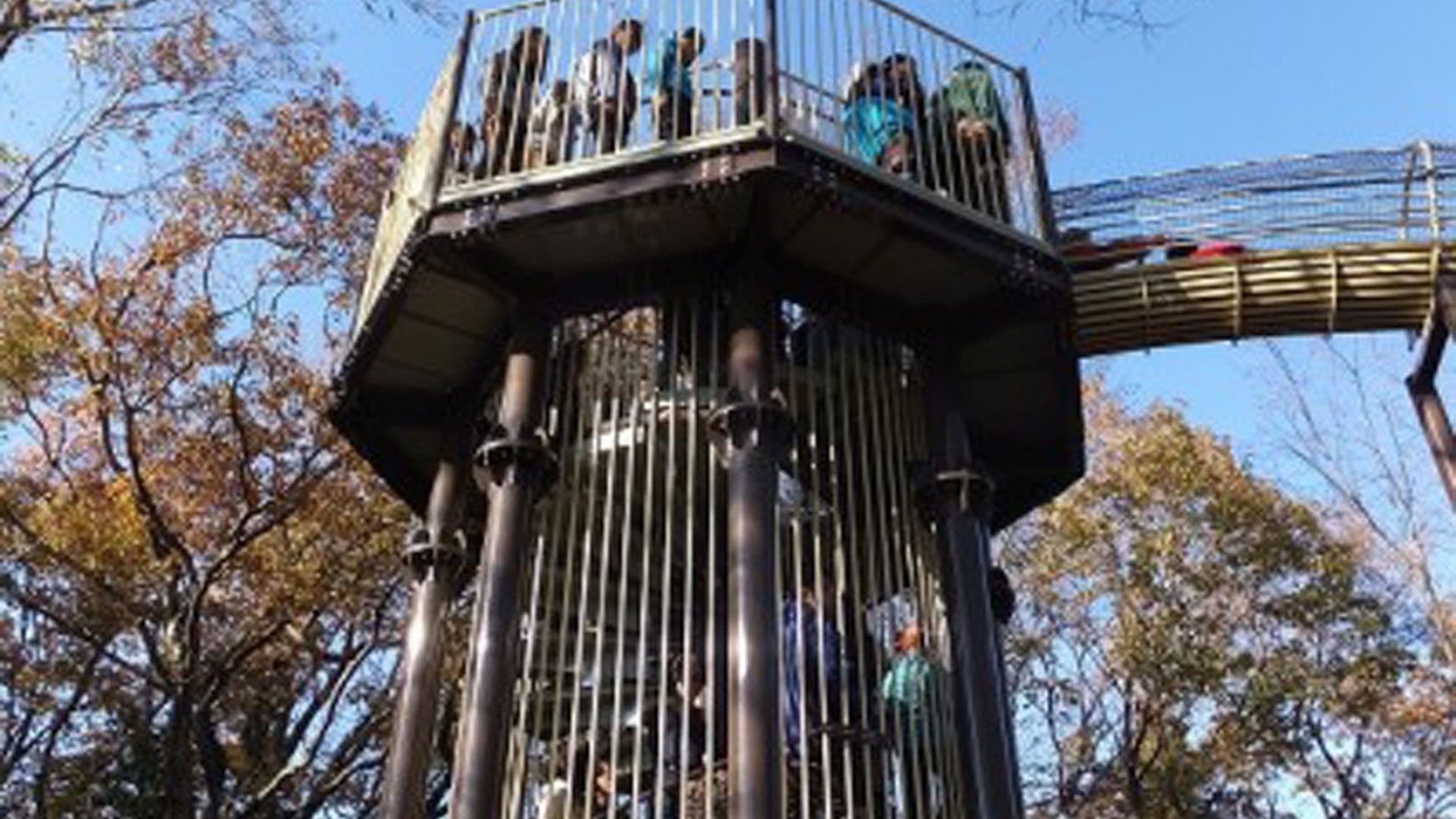 厚木儿童体验森林公园