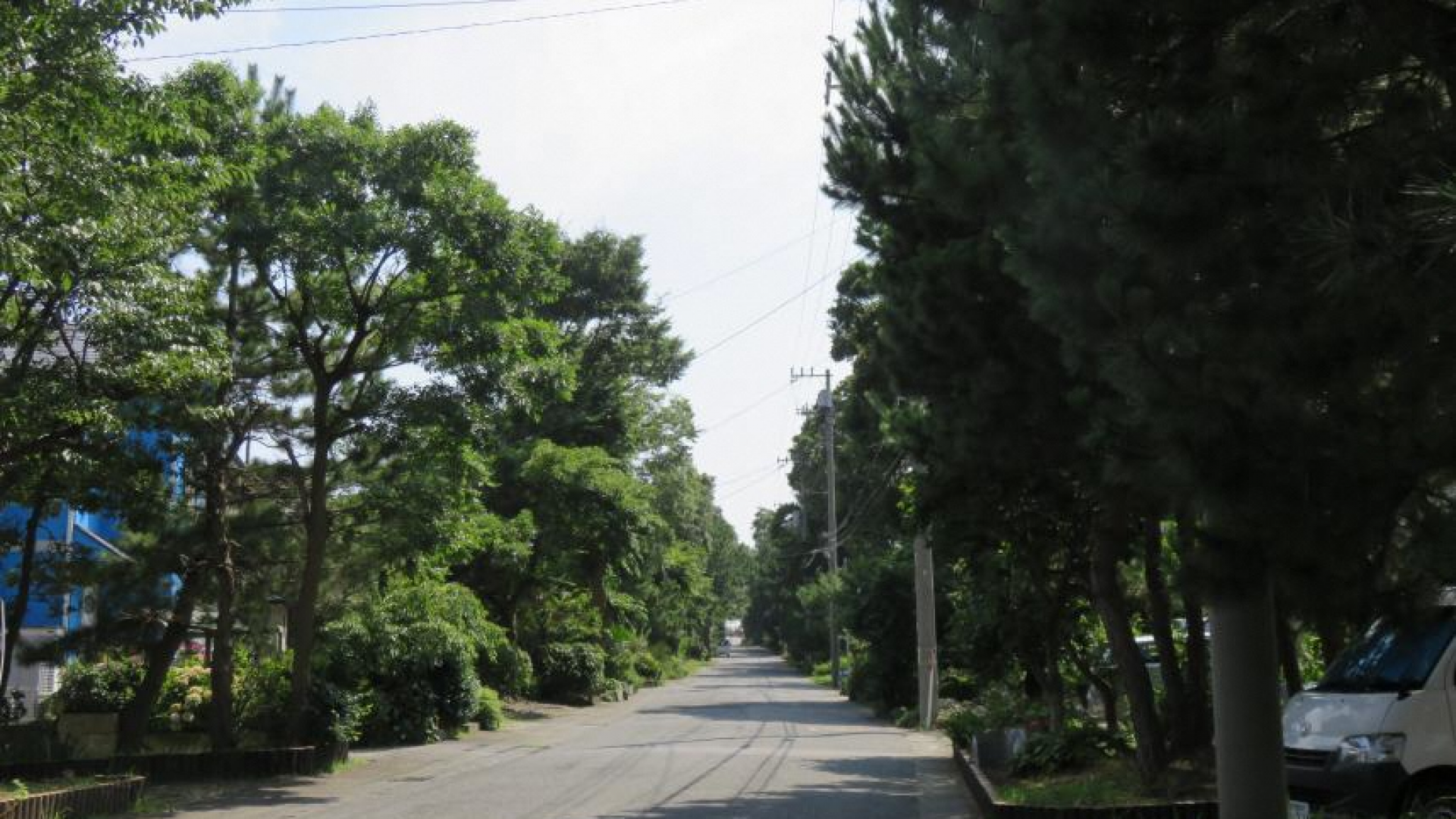 Kewai-zaka Matsu-namiki (Kewai hill lined with pine trees)