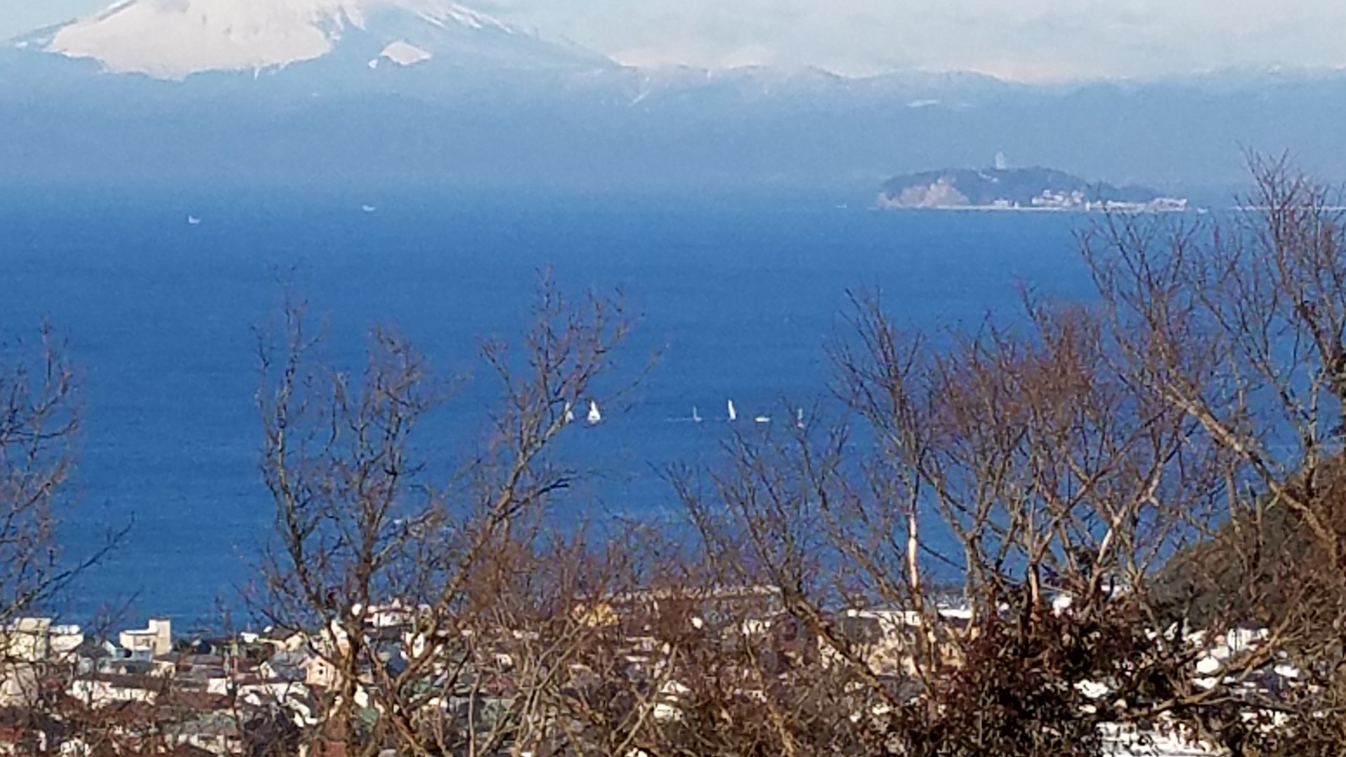 하야마해안선을따라걷기및센겐야마하이킹