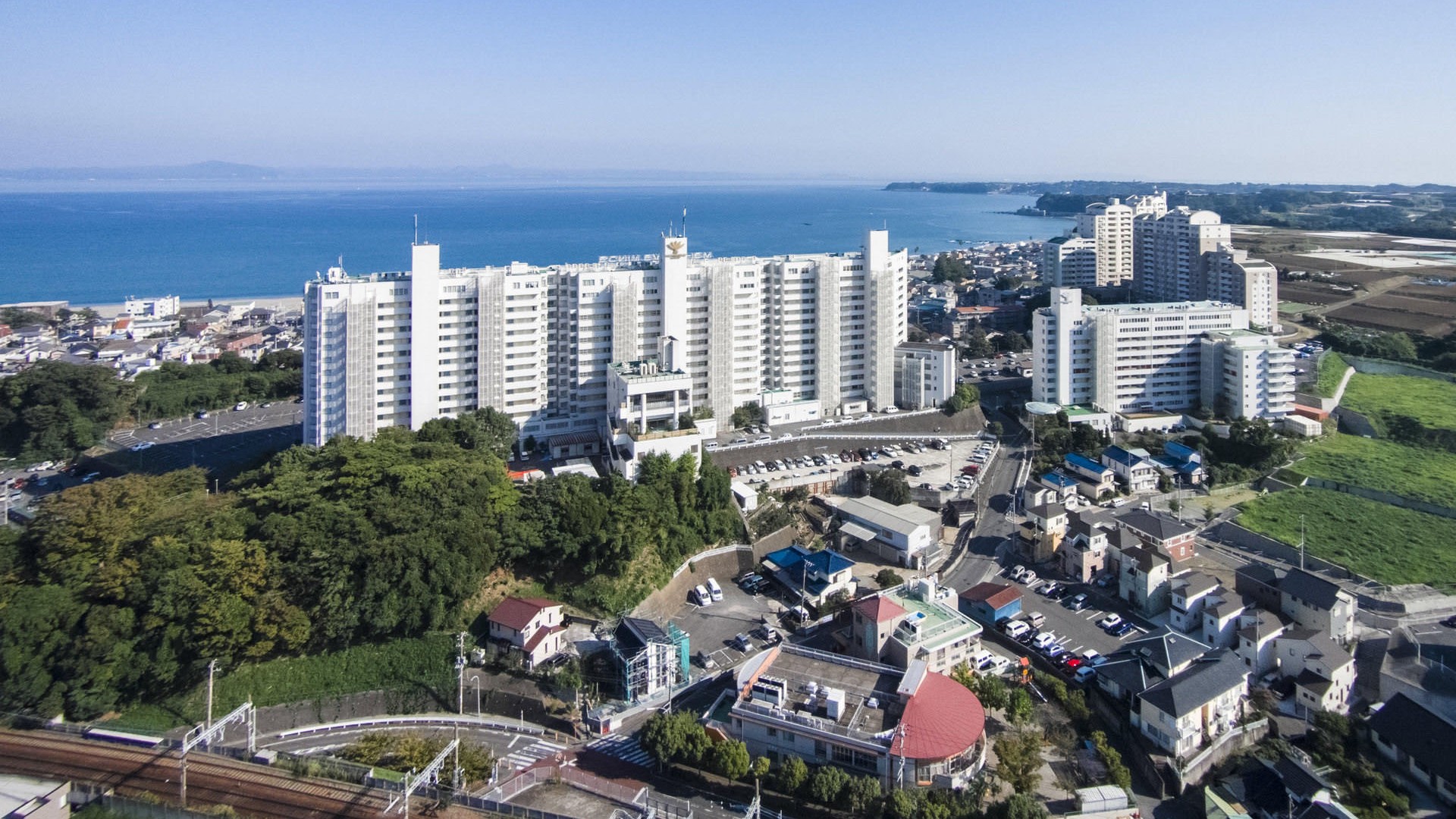 MAHOLOVA MINDS三浦