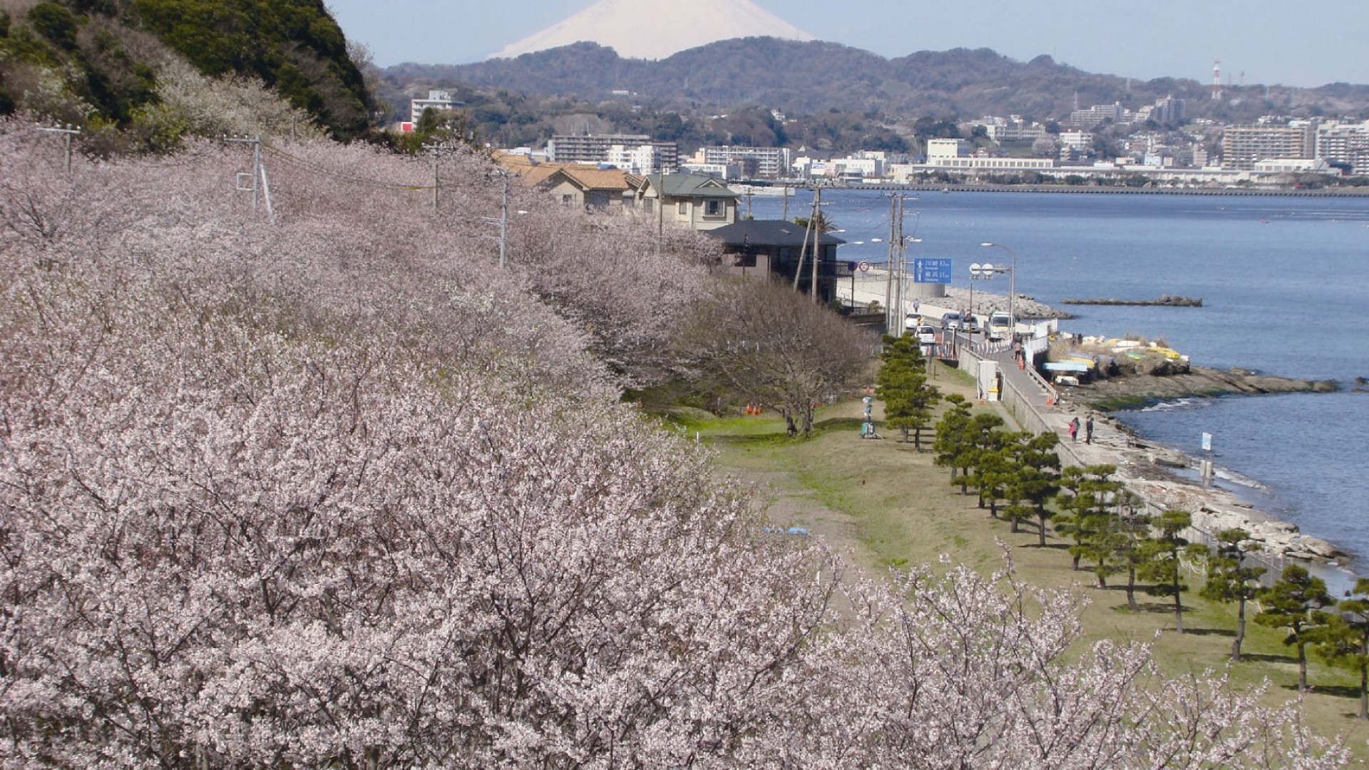走水水源地公园