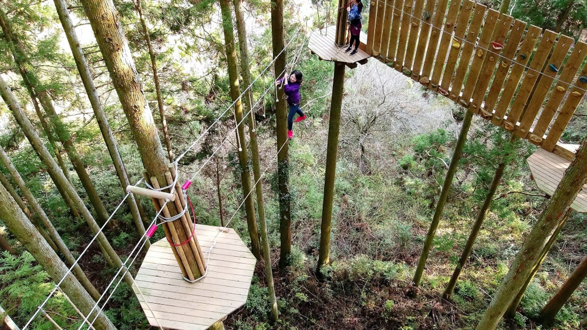 Tree Cross Adventure 厚木・七泽