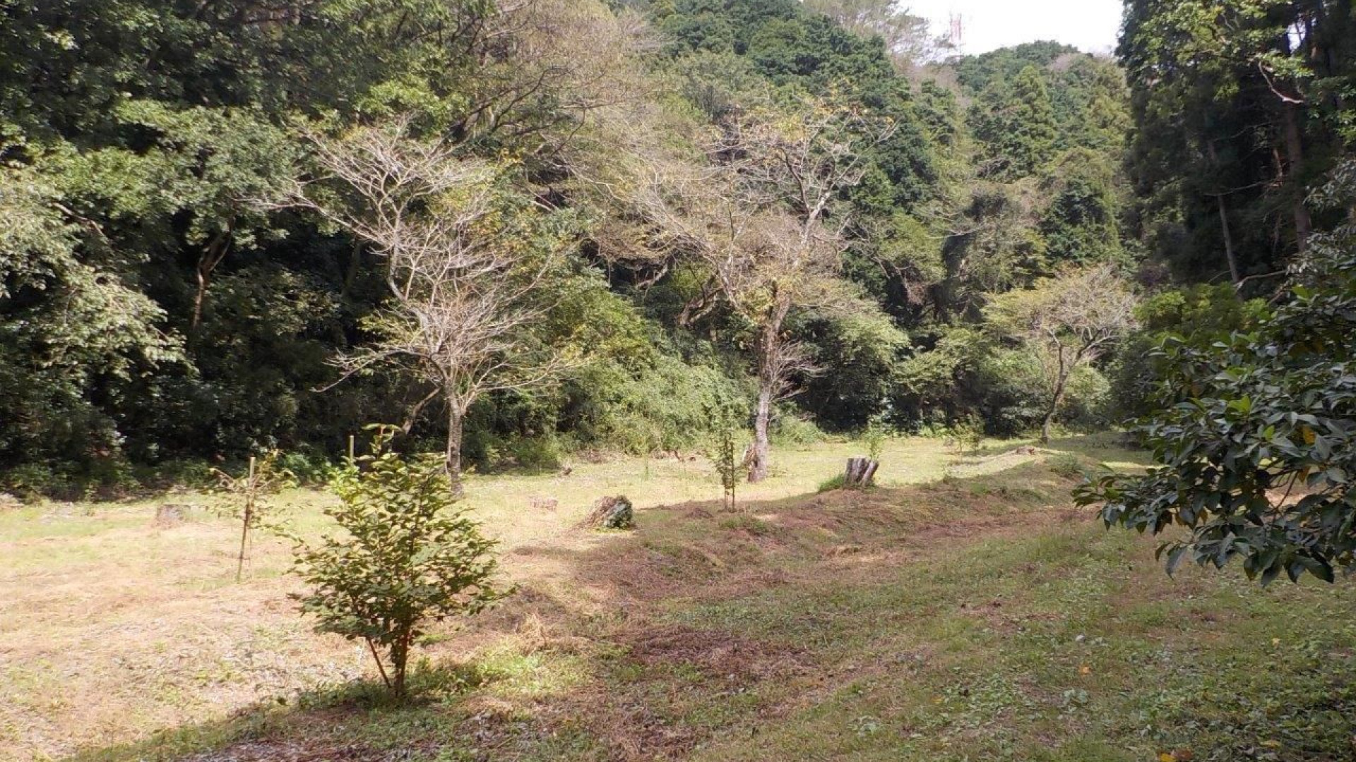 濑上巿民之森/大丸广场