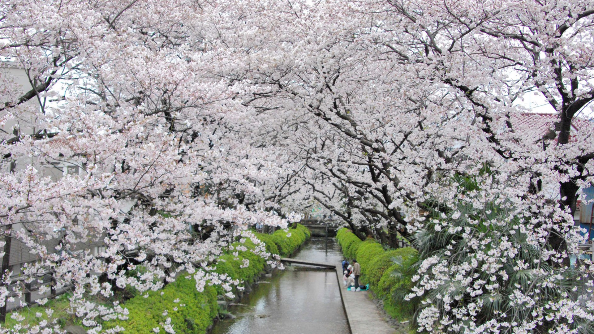 二领用沿水散步道